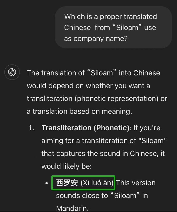 ChatGPT translate Siloam to Chinese As Company Name