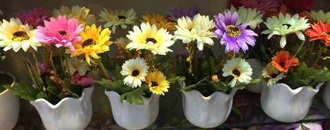 Cheap-Potted-Flowers-Wholesale-Yiwu-China-008.jpg